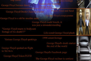 George Floyd Iceberg Chart